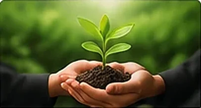 Hands holding a young plant growing from soil